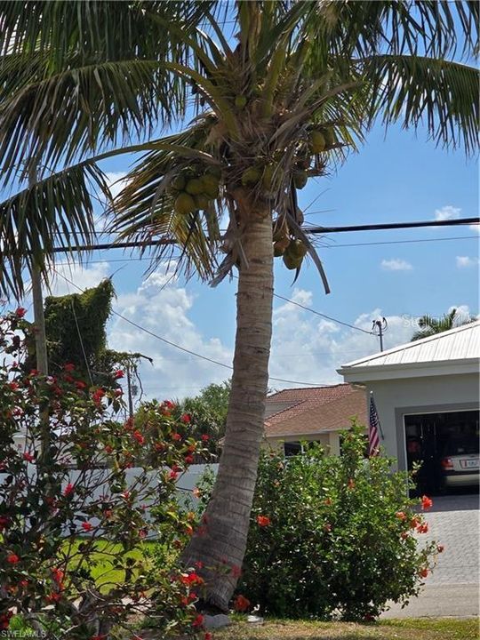 待售: $288,500 (3 贝兹, 2 浴室, 1116 平方英尺)