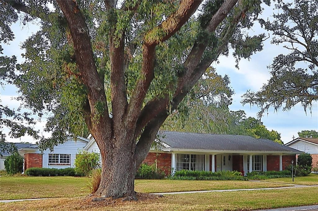 На продажу: $550,000 (3 спален, 2 ванн, 1753 Квадратных фут)