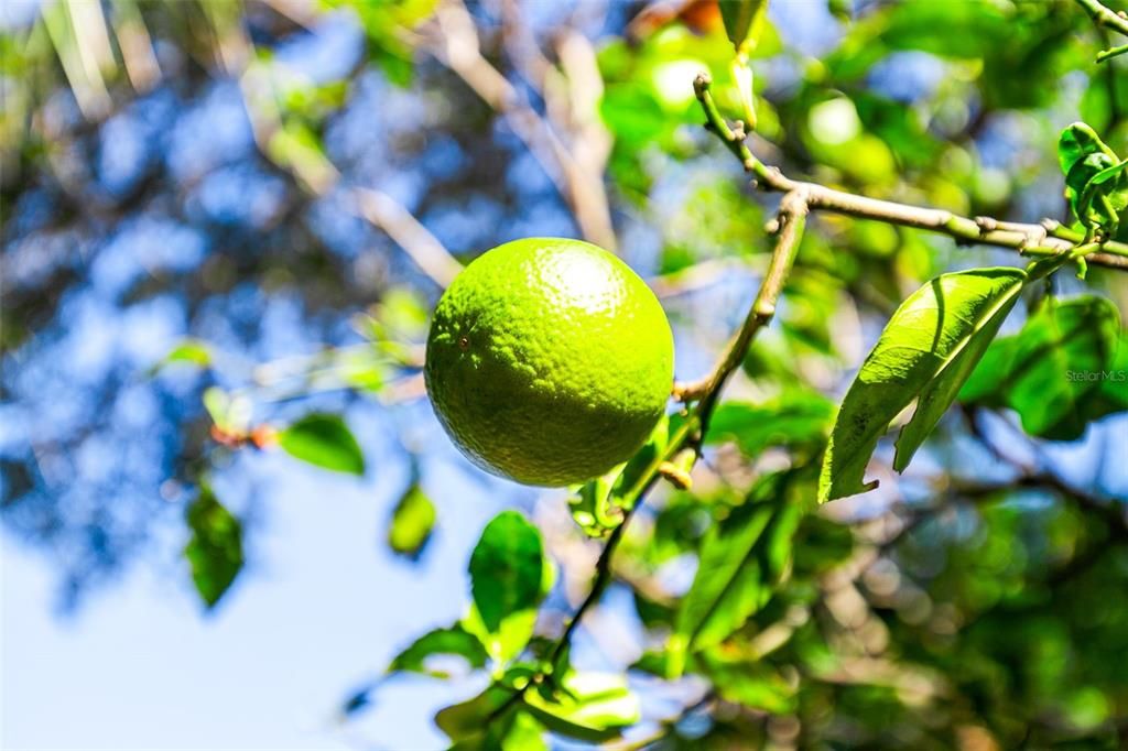 合同活跃: $349,000 (2 贝兹, 2 浴室, 1103 平方英尺)