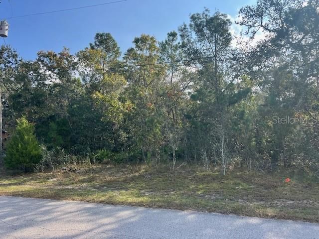 For Sale: $36,000 (0.28 acres)