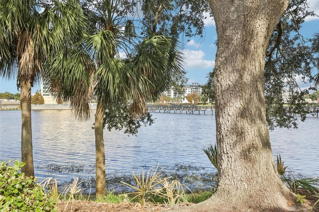 待售: $130,000 (1 贝兹, 1 浴室, 496 平方英尺)