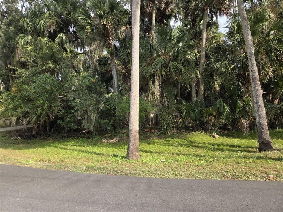 En Venta: $55,000 (0.48 acres)