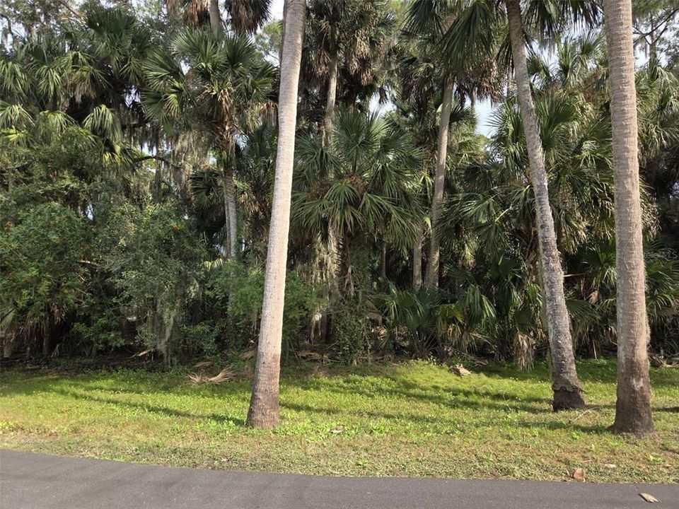 En Venta: $55,000 (0.48 acres)