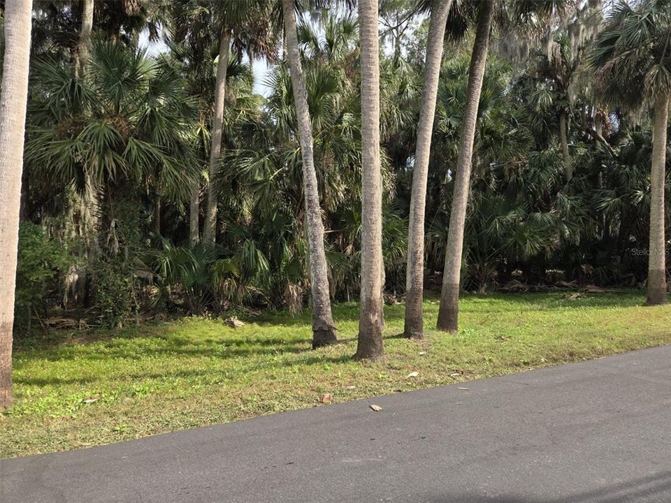 En Venta: $55,000 (0.48 acres)