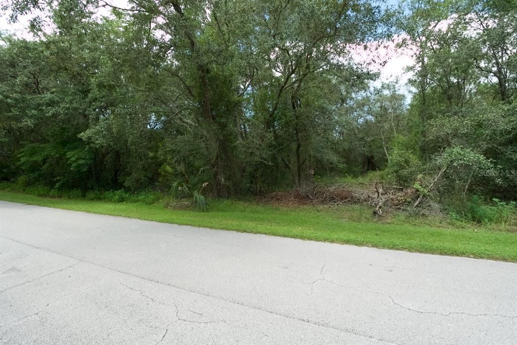 待售: $289,000 (5.00 acres)