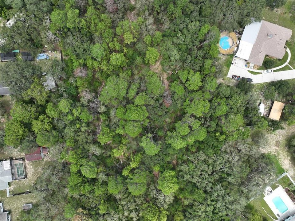 待售: $289,000 (5.00 acres)