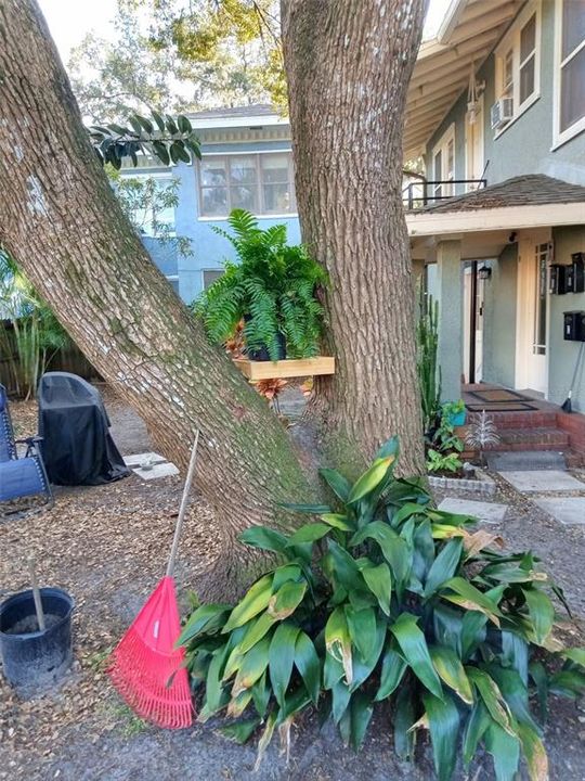 En Renta: $1,500 (2 camas, 1 baños, 987 Pies cuadrados)