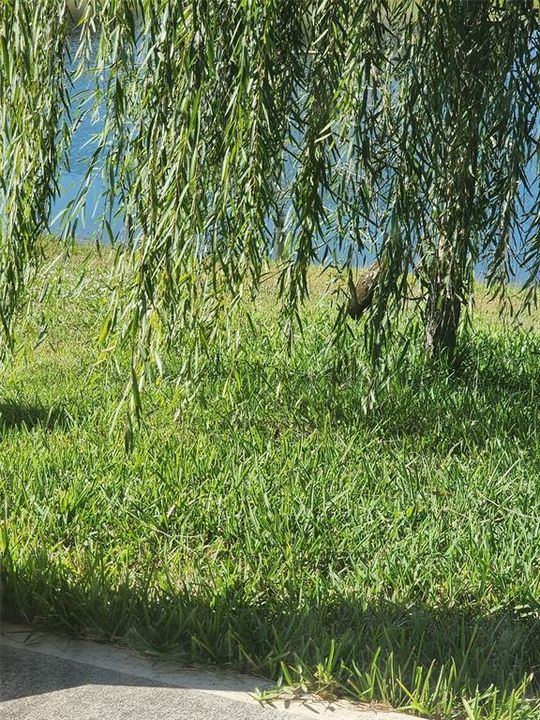 For Sale: $375,000 (4 beds, 2 baths, 1846 Square Feet)