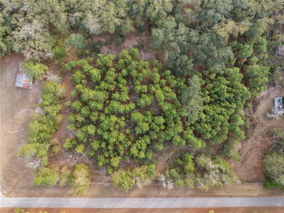 En Venta: $54,000 (2.06 acres)