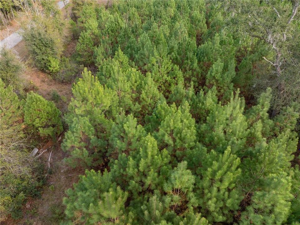 En Venta: $54,000 (2.06 acres)