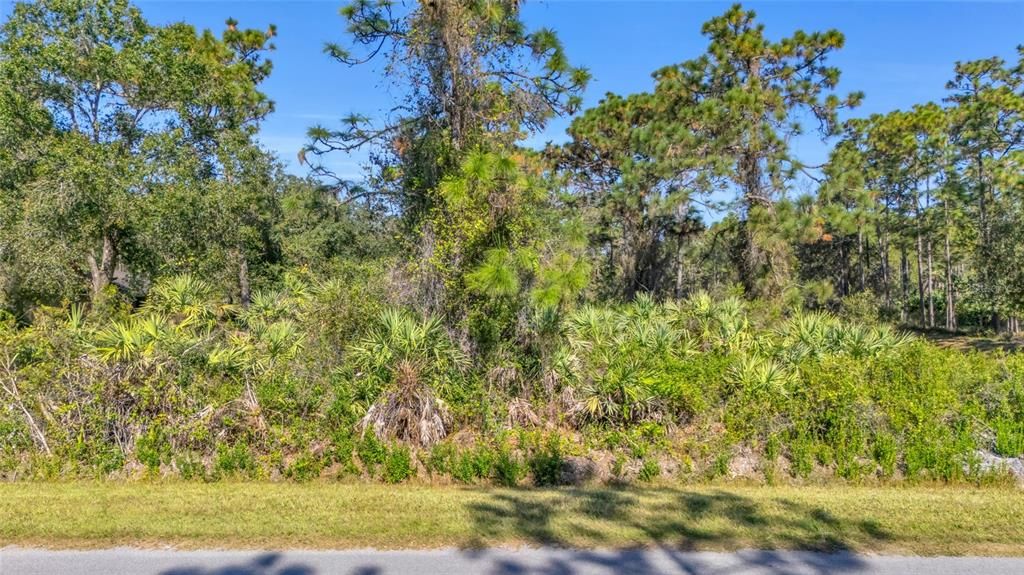 For Sale: $130,000 (1.51 acres)