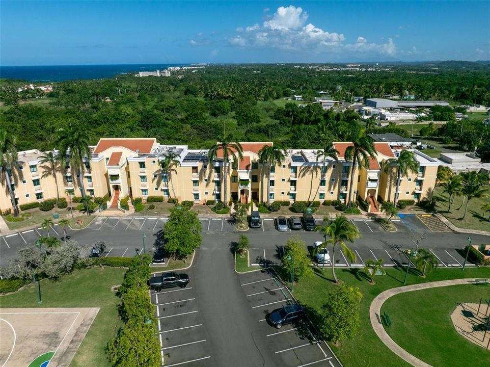 出租: $2,800 (3 贝兹, 2 浴室, 1676 平方英尺)