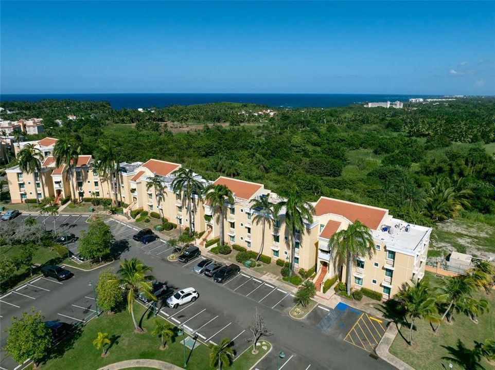 出租: $2,800 (3 贝兹, 2 浴室, 1676 平方英尺)