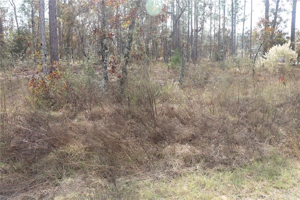 En Venta: $13,900 (0.24 acres)