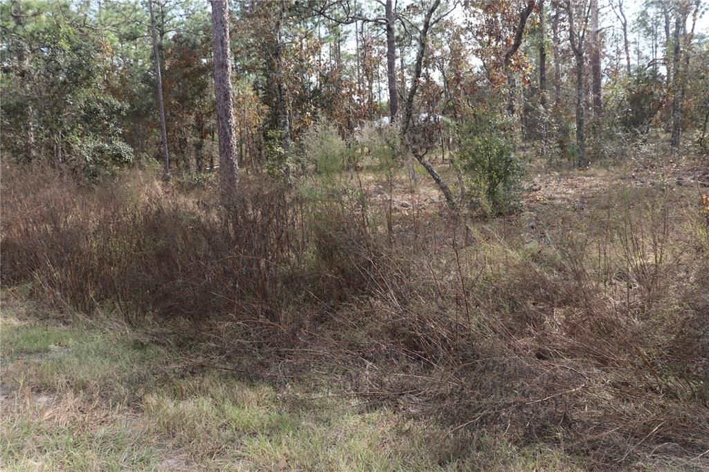 En Venta: $13,900 (0.24 acres)