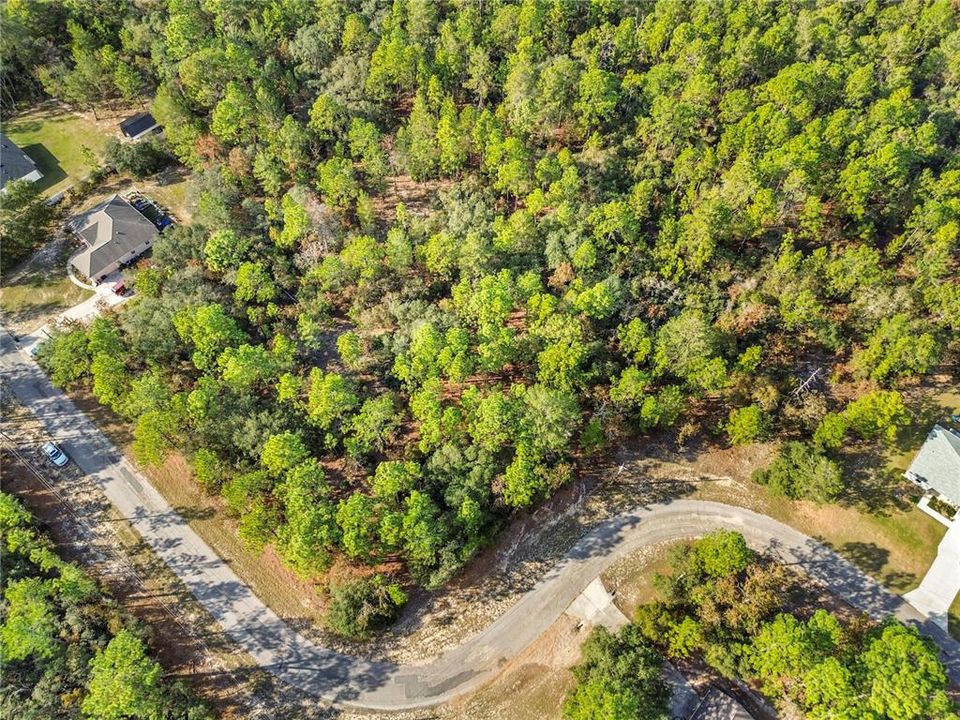 For Sale: $42,000 (0.81 acres)