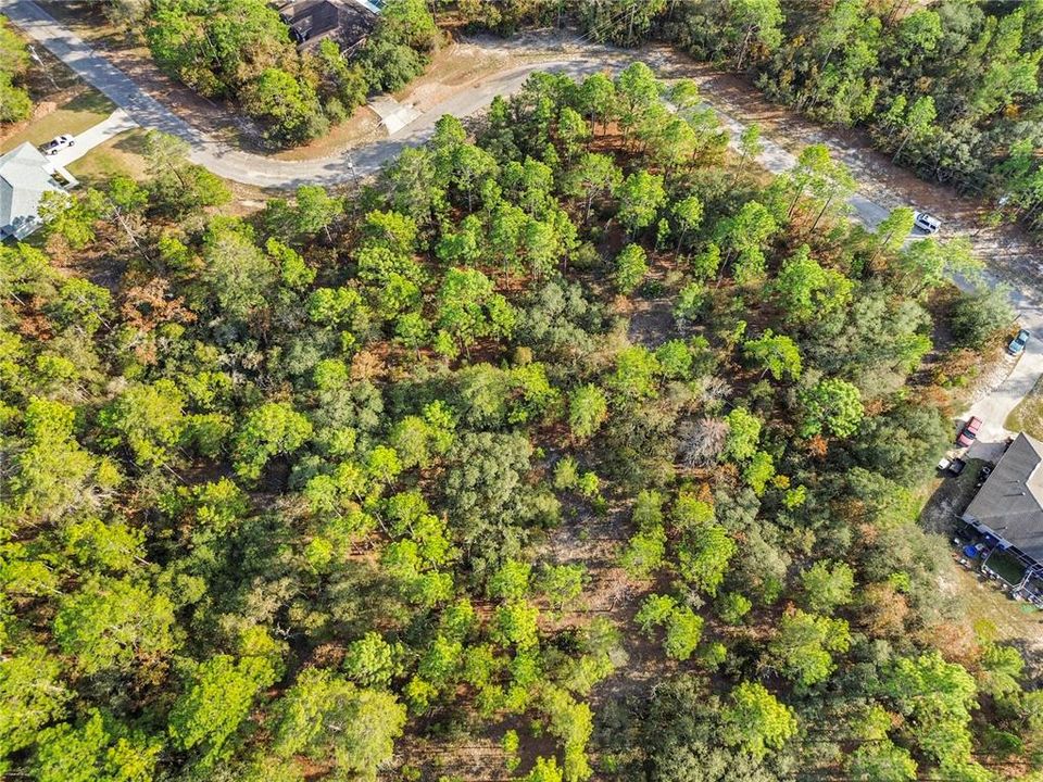 For Sale: $42,000 (0.81 acres)