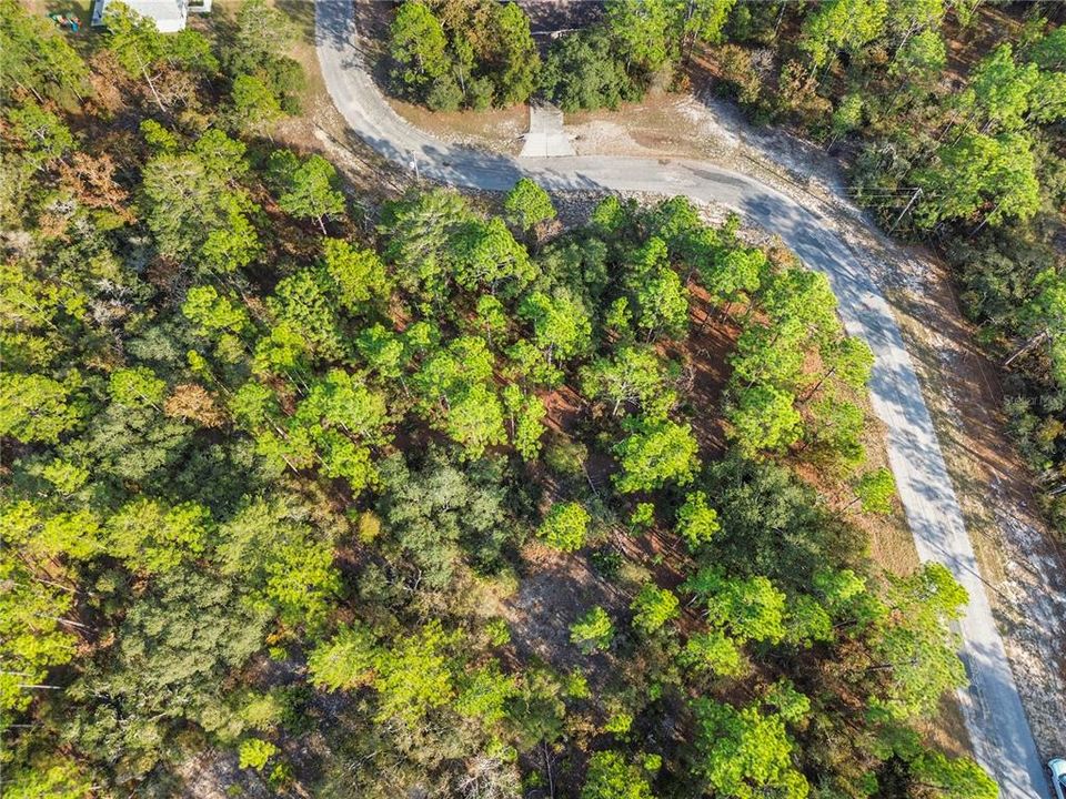 For Sale: $42,000 (0.81 acres)