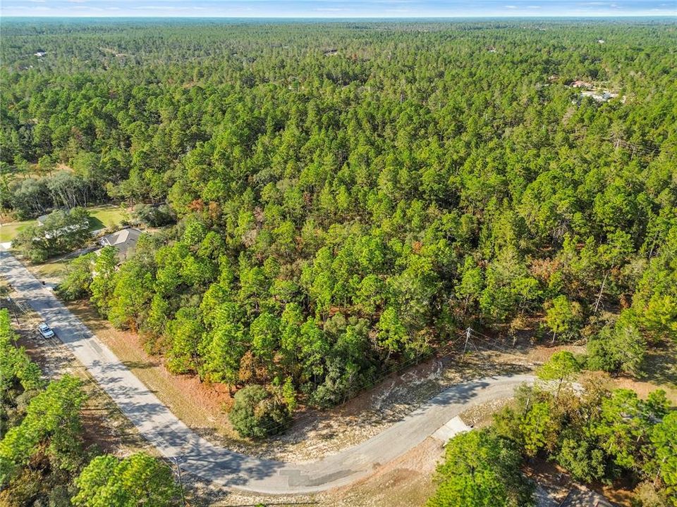 For Sale: $42,000 (0.81 acres)