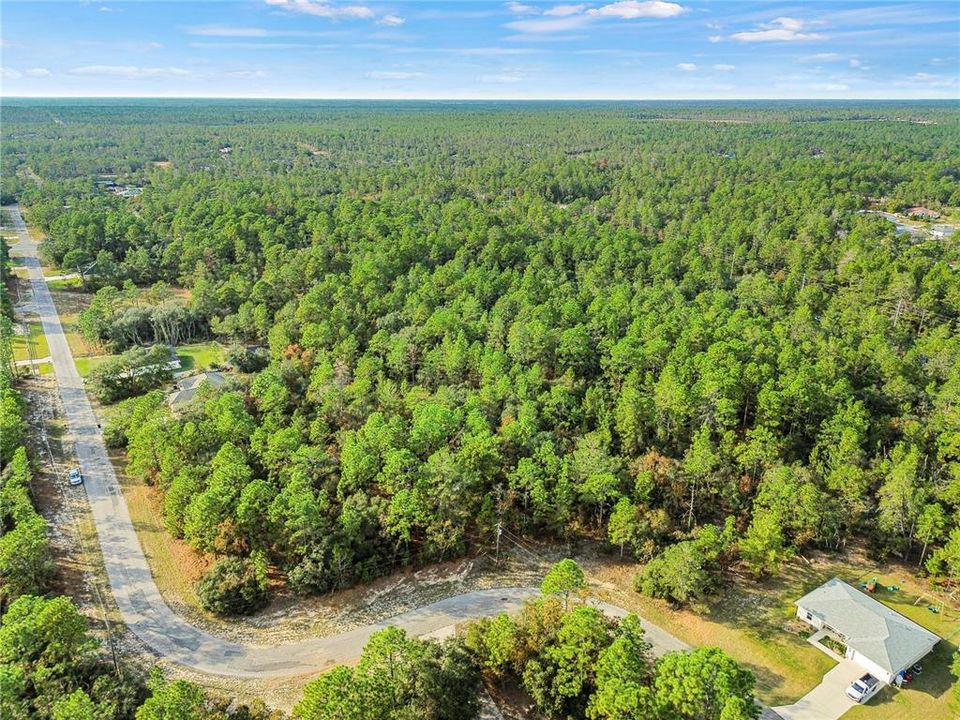 For Sale: $42,000 (0.81 acres)