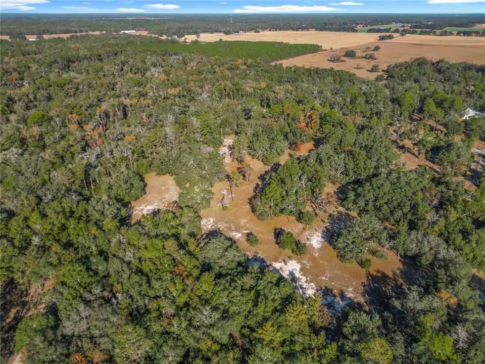 待售: $289,000 (3 贝兹, 2 浴室, 1477 平方英尺)