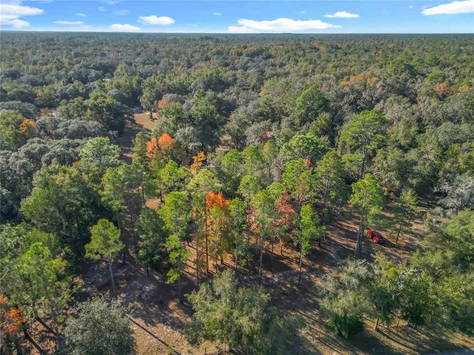 待售: $289,000 (3 贝兹, 2 浴室, 1477 平方英尺)