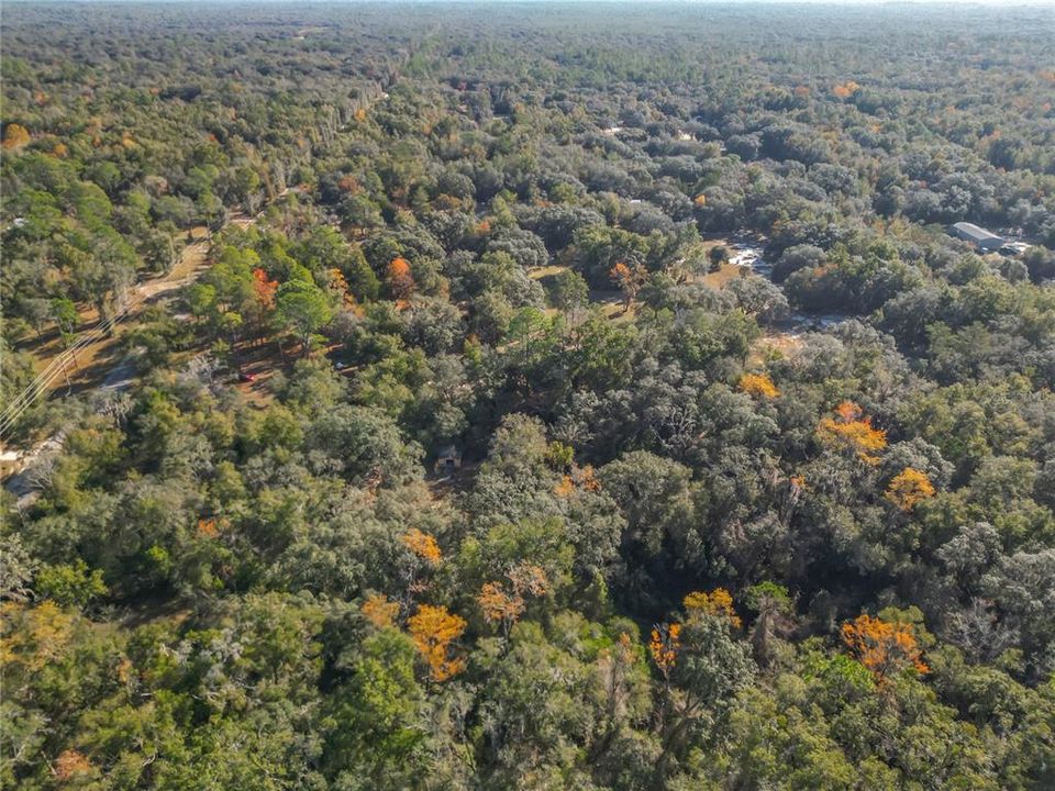 待售: $289,000 (3 贝兹, 2 浴室, 1477 平方英尺)