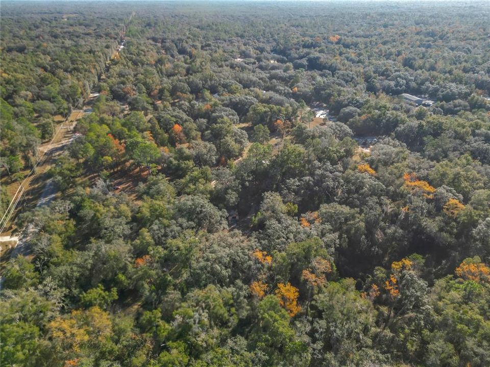 待售: $289,000 (3 贝兹, 2 浴室, 1477 平方英尺)