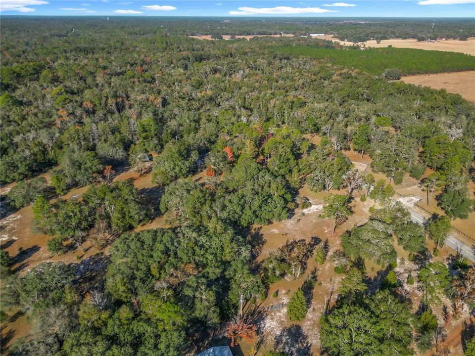 待售: $289,000 (3 贝兹, 2 浴室, 1477 平方英尺)