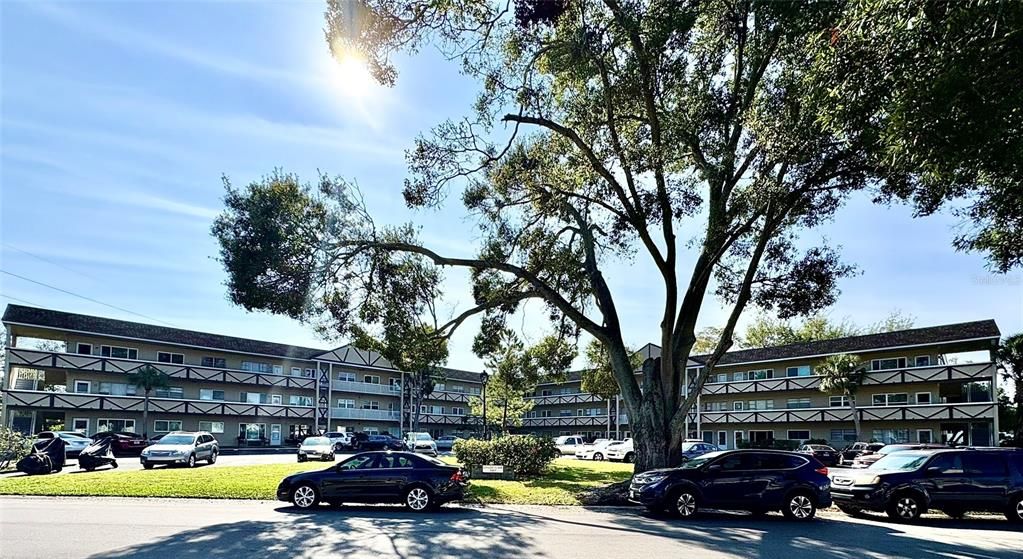 Active With Contract: $145,000 (2 beds, 2 baths, 1100 Square Feet)