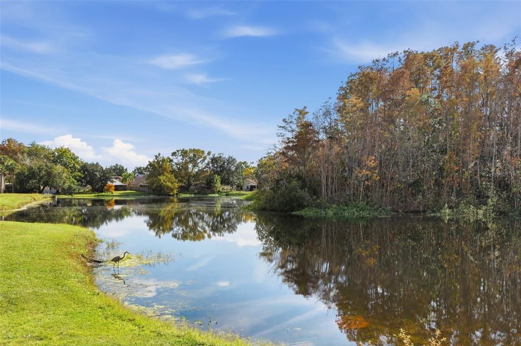 For Sale: $259,000 (2 beds, 2 baths, 1137 Square Feet)