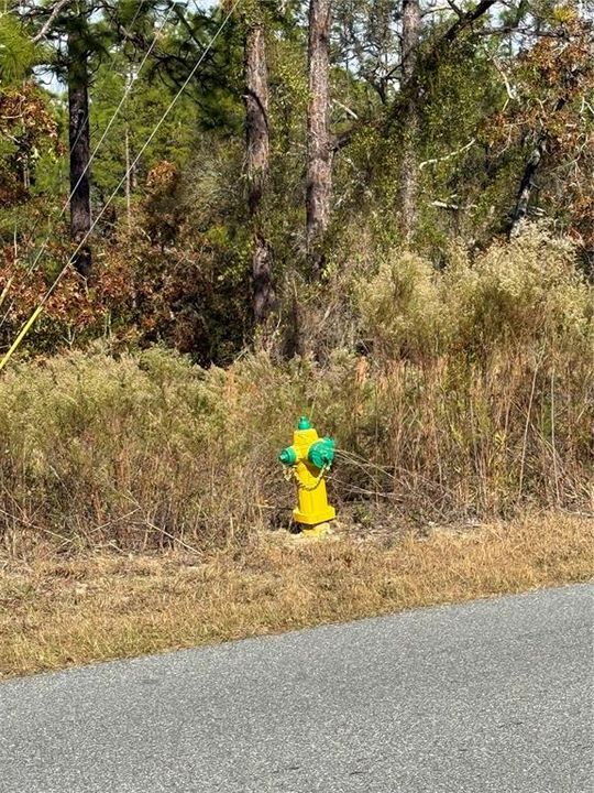 For Sale: $35,000 (0.27 acres)