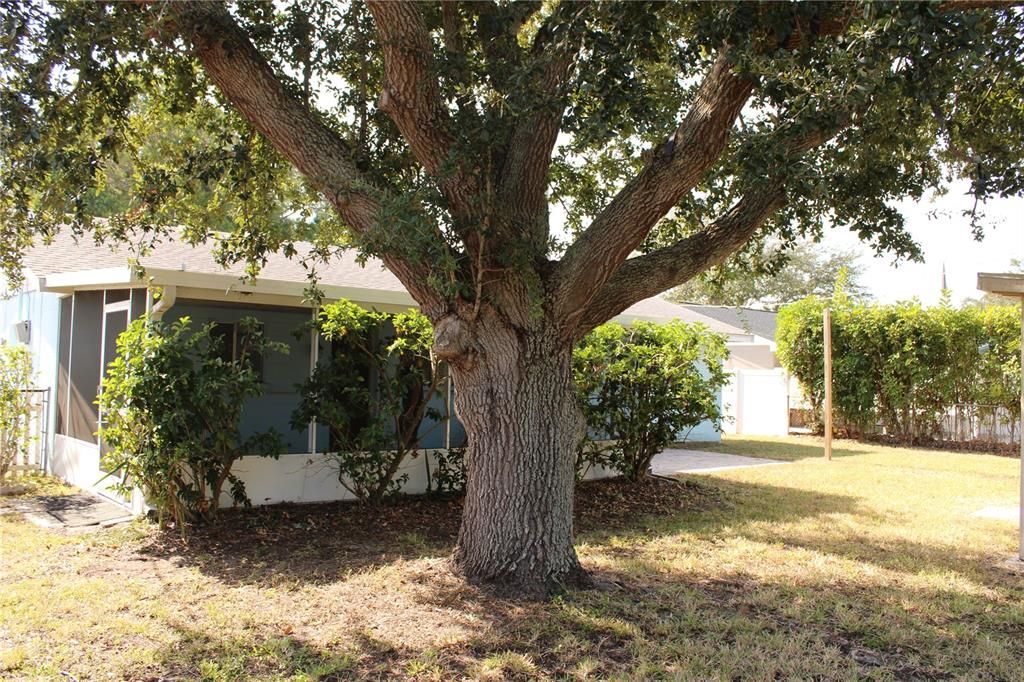 En Renta: $2,495 (4 camas, 2 baños, 1105 Pies cuadrados)