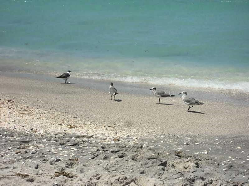 En Venta: $19,500 (0.17 acres)