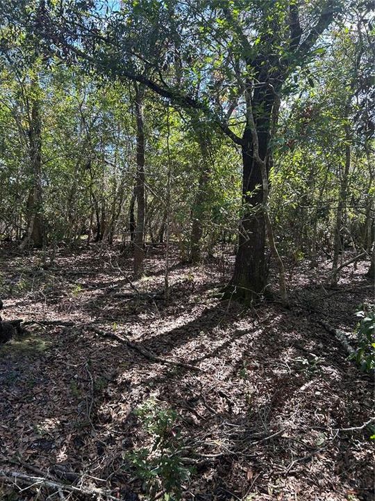 En Venta: $50,000 (16.68 acres)