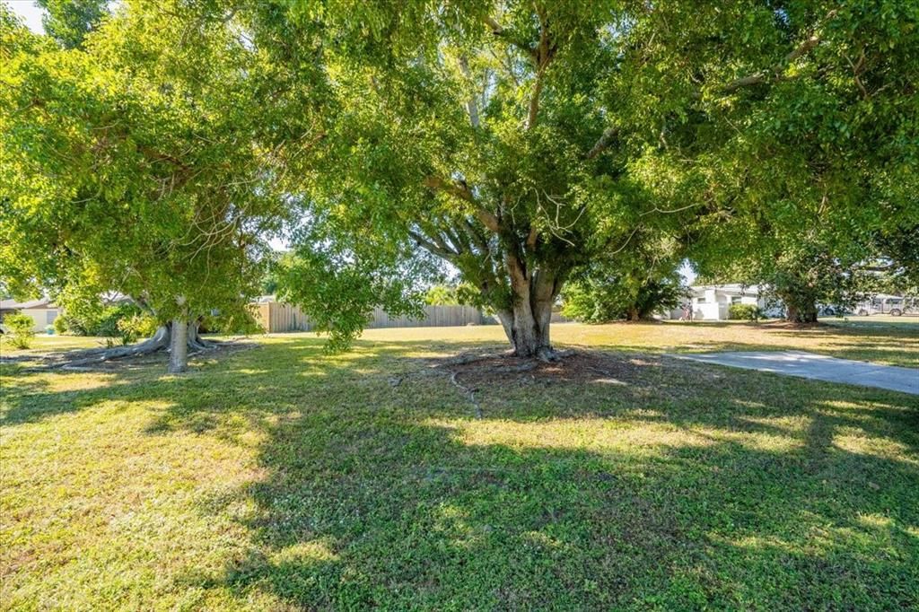 For Sale: $479,999 (0.31 acres)