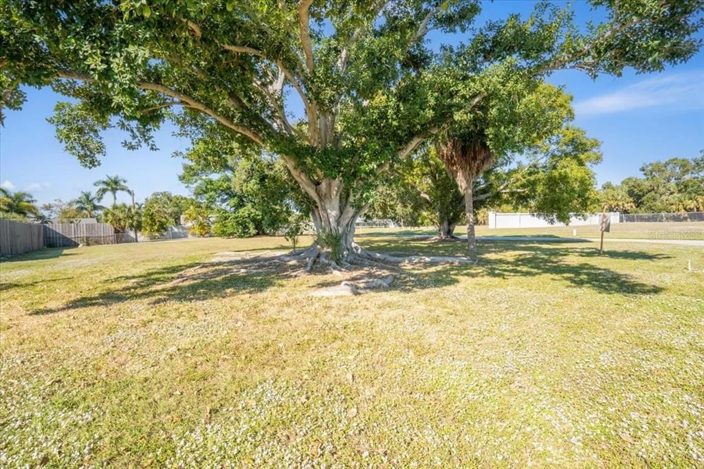 For Sale: $479,999 (0.31 acres)