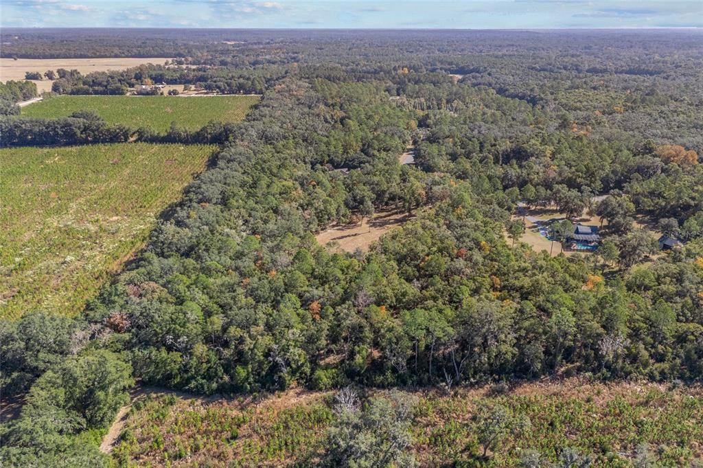 待售: $388,000 (7.08 acres)