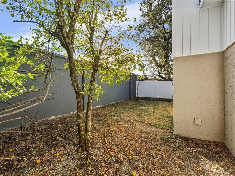 For Sale: $527,000 (4 beds, 2 baths, 2156 Square Feet)