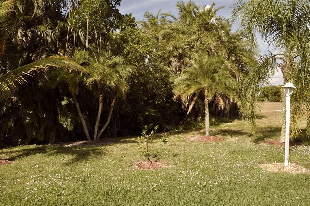 Activo con contrato: $125,000 (2 camas, 1 baños, 999 Pies cuadrados)