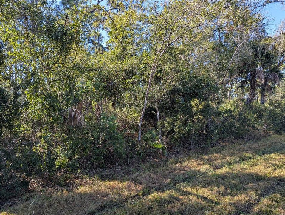 На продажу: $19,500 (0.23 acres)