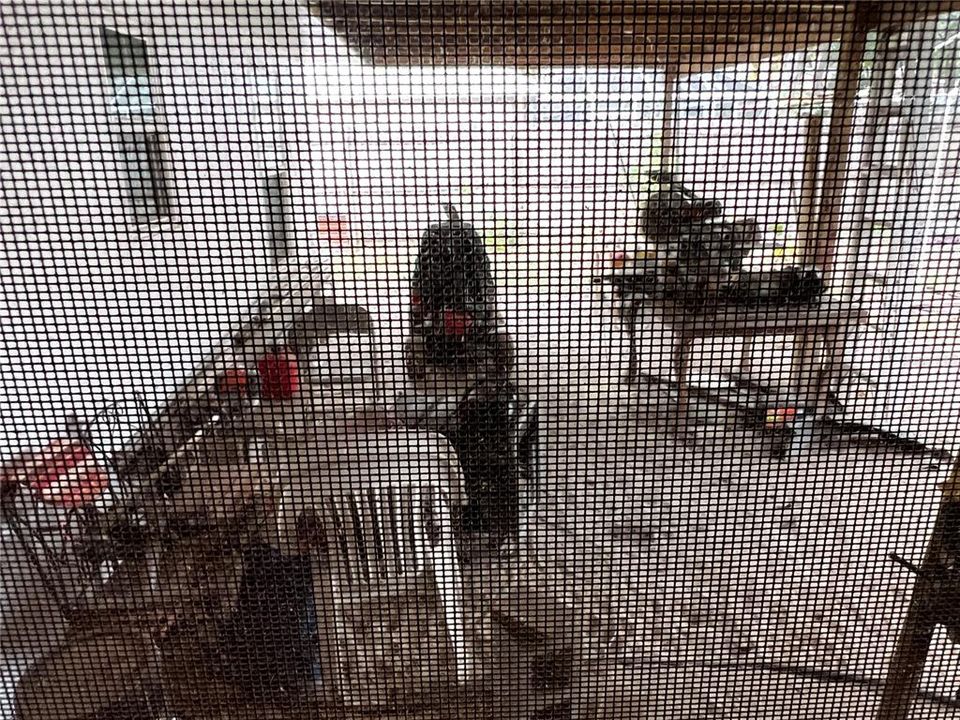 For Sale: $270,000 (3 beds, 2 baths, 1307 Square Feet)