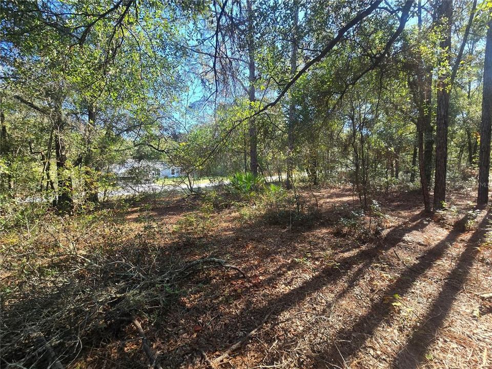 En Venta: $17,000 (0.23 acres)
