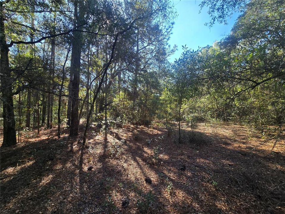 En Venta: $17,000 (0.23 acres)