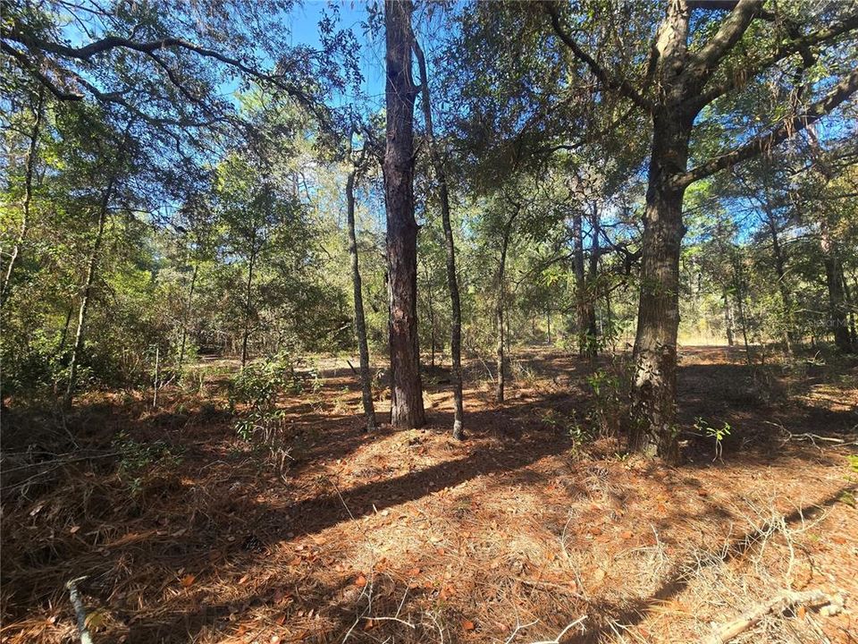 En Venta: $17,000 (0.23 acres)