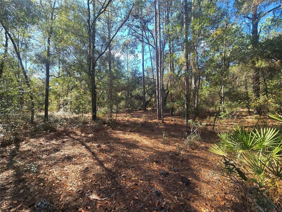 En Venta: $17,000 (0.23 acres)