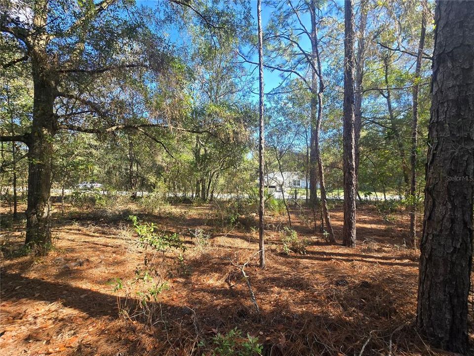 En Venta: $17,000 (0.23 acres)