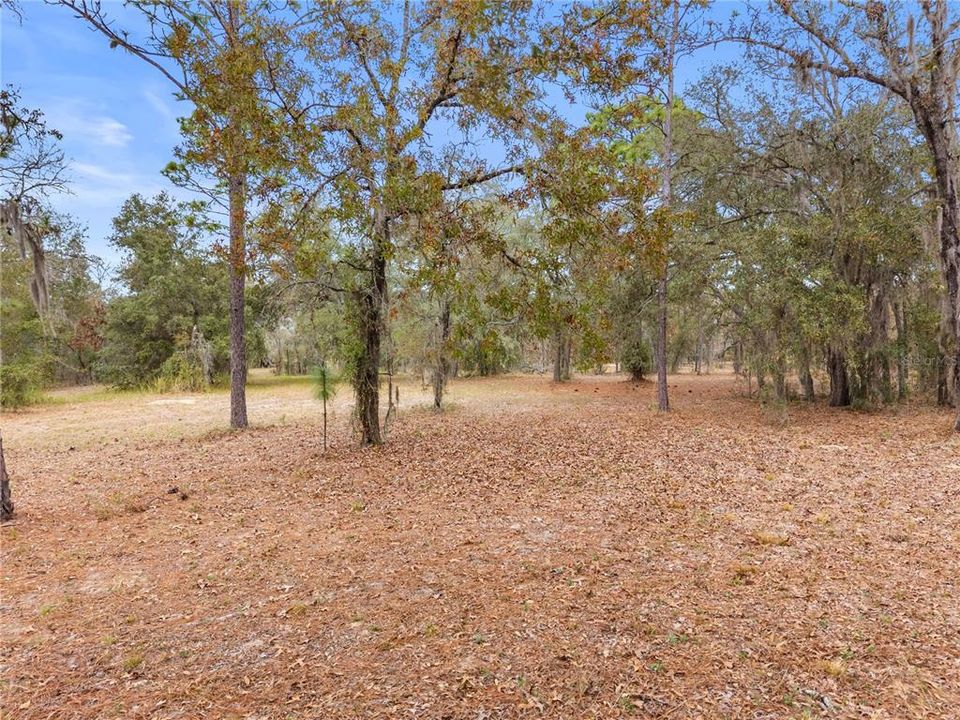 For Sale: $400,000 (4 beds, 2 baths, 2100 Square Feet)