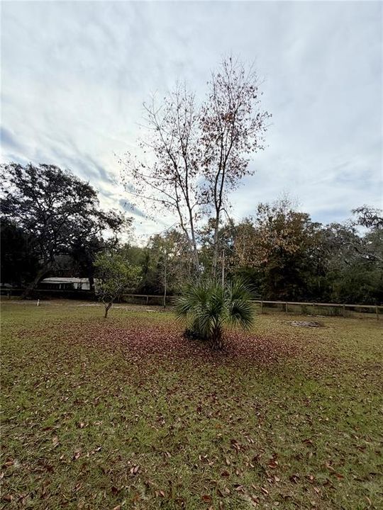 待售: $35,000 (0.46 acres)