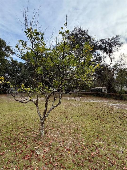 待售: $35,000 (0.46 acres)